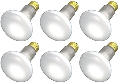 (Pack Of 6) 30R20/FL 120V - 30 Watt R20 Flood - E26 Base 30W - Light Bulbs